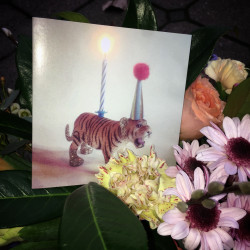 Flot Tiger motiv på kort